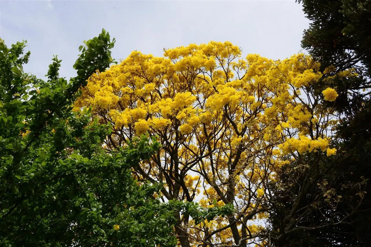 Quintal Das Araucarias Hospedagem São Joaquim Brasilien